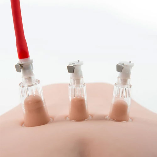 Temptasia Nipple Pump System
